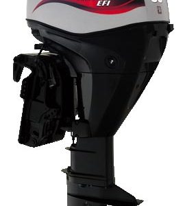 F30MLGA EFI