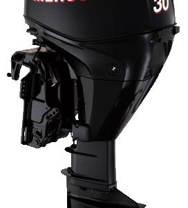 F30ELPT BigFoot EFI